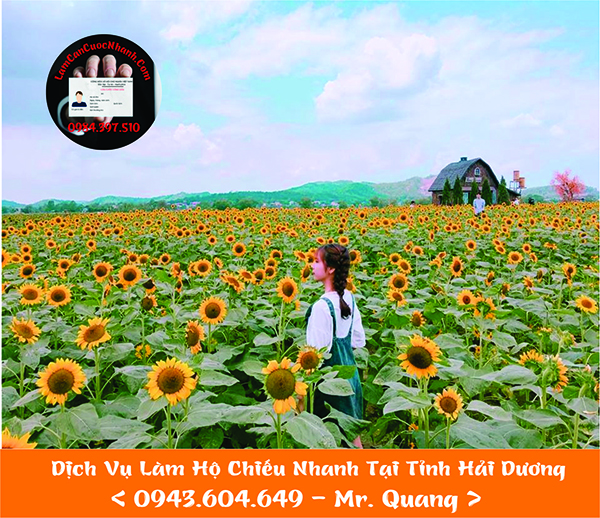 Dịch Vụ Làm Hộ Chiếu Nhanh Tại Tỉnh Hải Dương - 0943.604.649