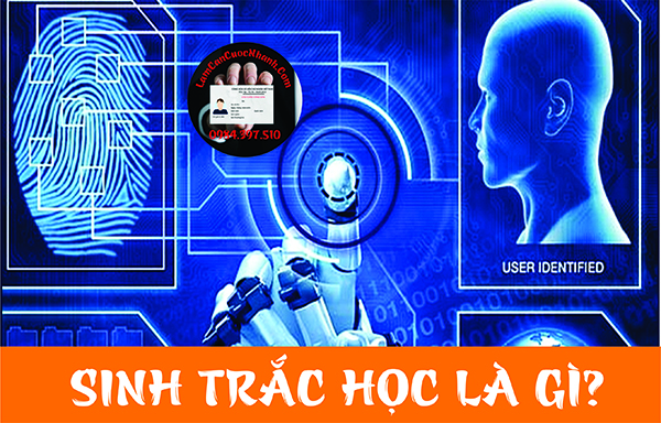 Sinh trắc học là gì? Thông tin sinh trắc học của công dân gồm những gì?