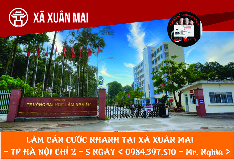 Làm Căn Cước Nhanh Tại XÃ XUÂN MAI